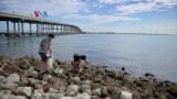 "Clean This Beach Up", Membersihkan Pantai Miami