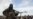 Taliban Eksekusi di Depan Umum Pelaku Pembunuhan di Afghanistan