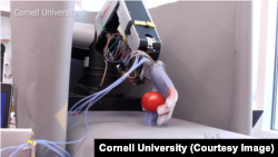 纽约康奈尔大学制造的能够识别番茄何时完全生长的机器人