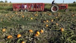 미국은 지금: 버려진 농산물 상품화하는 청년기업가