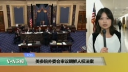 VOA连线：美参院外委会审议朝鲜人权法案