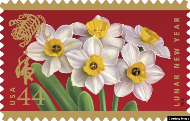 Debido a que florece temprano, el fragante narciso se ha convertido en la flor simbólica del Año Nuevo Lunar chino. (Servicio Postal de EE.UU.)