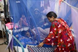 বাংলাদেশে ডেঙ্গু ভাইরাসের ‘ডেনভি-৩’ মানুষকে বেশি আক্রান্ত করছে - বিসিএসআইআর
