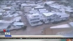 اخبار شامگاهی