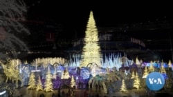 Christmas Lights Illuminate the Heart of Washington, D.C.