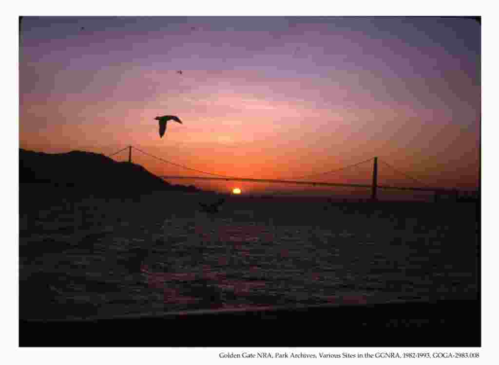 Viajar: California, tierra de paisajes