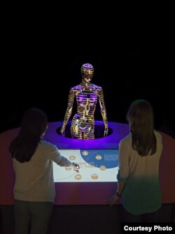 The human genetic code is projected on Gigi, a mannequin. (Donald E. Hurlbert & James Di Loreto, Smithsonian)