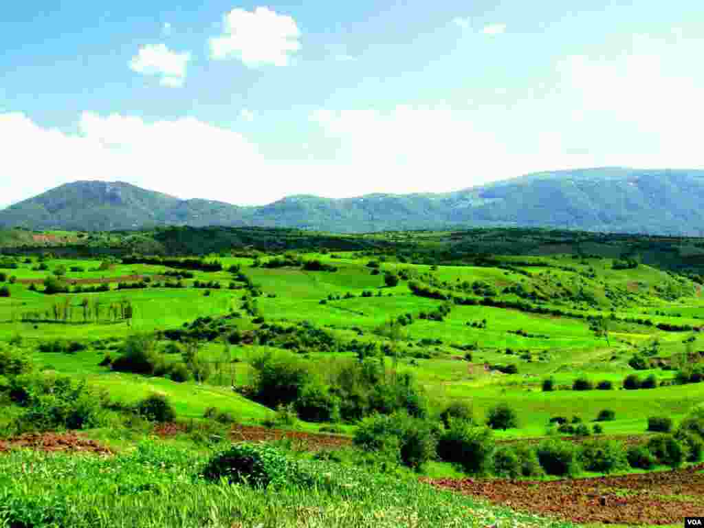 طبیعت بهاری، روستای نوده رودبار گیلان عکس: حامد عابدین زاده (ارسالی شما)