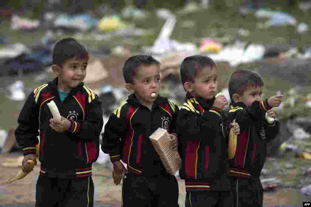 그리스와 접경지역 마케도니아 게브겔리자 시 난민캠프에서 아이들이 바나나를 먹고 있다.