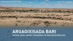 Qubanaha VOA