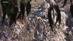 Toko Kantong Plastik, Upaya Dukung Larangan Plastik di New York