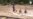 16x9 Image