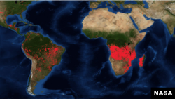 La carte intéractive de la Nasa montre les incendies en temps réel. (Nasa)