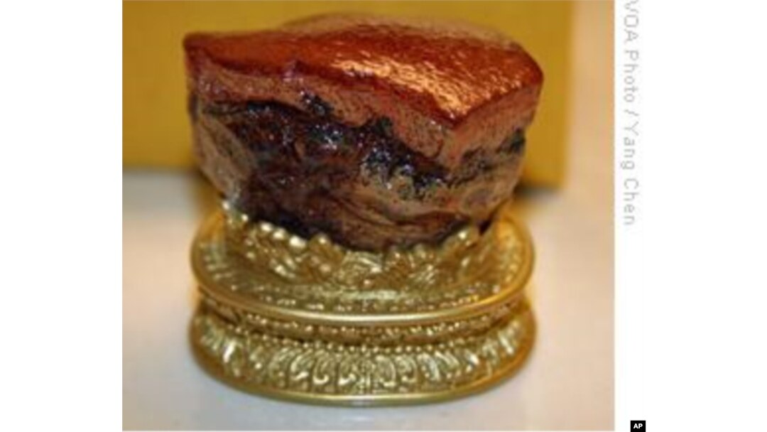 肉形石(仿制品)