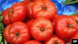 Tomat kaya akan lycopene, antioksidan yang diyakini para ilmuwan bisa mengurangi resiko penyakit jantung (foto: Dok).
