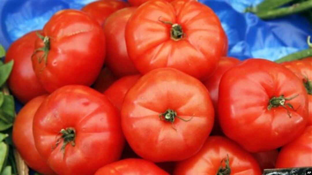 Tomat kaya akan lycopene, antioksidan yang diyakini para ilmuwan bisa mengurangi resiko penyakit jantung (foto: Dok).