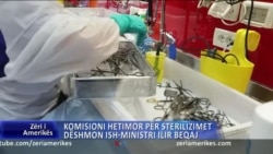 Komisioni hetimor për sterilizimet, dëshmon ish-Ministri Ilir Beqaj