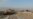 Iraq Says IS Killed Over 300 From Single Sunni Tribe