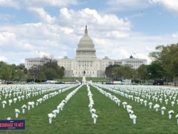 The gun control group Giffords placed 40,000 bouquets on the National Mall in Washington, to represent the 40,000 Americans who die annually from gun violence. (Lynn Davis/VOA)