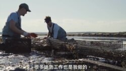 兄弟经营海洋农场 牡蛎生涯天地宽