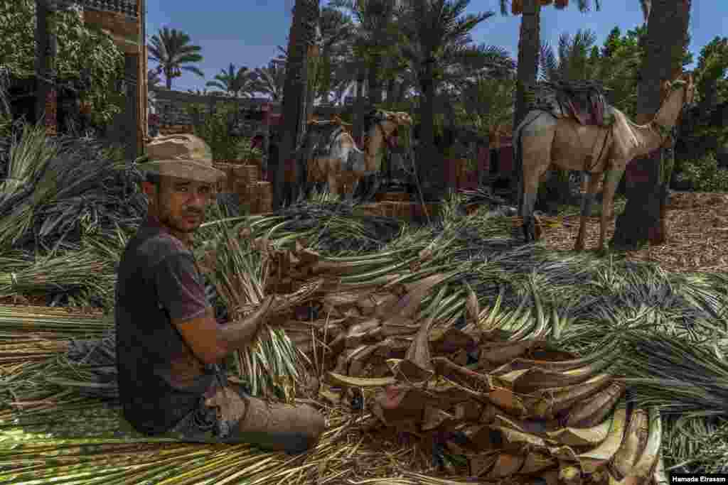 &quot;I usually produce garden furniture or boxes for vegetables and fruits, but plastic is beating out all our natural products,&quot; says Eid, 28, a palm weaver and craftsman of 15 years, in Cairo, September 9, 2021. (VOA/Hamada Elrasam) 