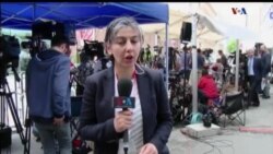 اخبار شامگاهی