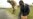 WFP Struggles to Avert Starvation in Zimbabwe