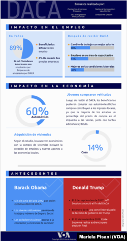 DACA Infografia septiembre 2019