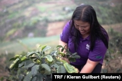 Marivic Dubria of the Balutakig Coffee Farmers Association tends to a coffee plant on her farm in Mindanao, the Philippines, March 26, 2018.