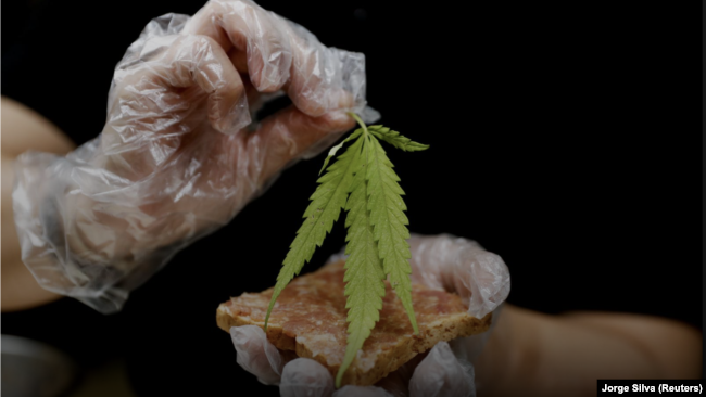 A chef prepares a pork sandwich with a marijuana leaf at Abhaibhubejhr hospital canteen which adds cannabis infused dishes to its menu.