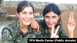 Şervanên YPG