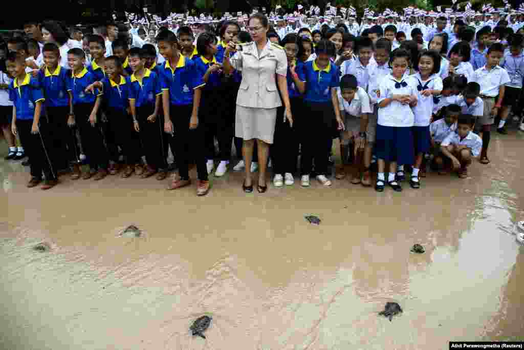 ជនជាតិថៃកំពុងលែងអណ្ដើកសមុទ្រនៅមជ្ឈមណ្ឌលអភិរក្សអណ្ដើកសមុទ្រ ដែលជាផ្នែកមួយនៃការប្រារពខួបកំណើតទី៦៥ របស់ស្តេចថៃ Maha Vajiralongkorn ក្នុងស្រុក Sattahip ខេត្ត Chonburi ប្រទេសថៃ។