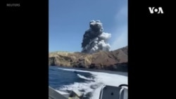 新西蘭火山爆發 至少八人死亡 幾十人受傷或失踪