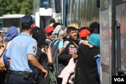 Hundreds of refugees waited for hours in the sun for buses, later ignoring police orders to stay in lines and rushing the vehicles, 23 September 2015 (VOA Photo By: H.Murdock Bapska, Croatia.)