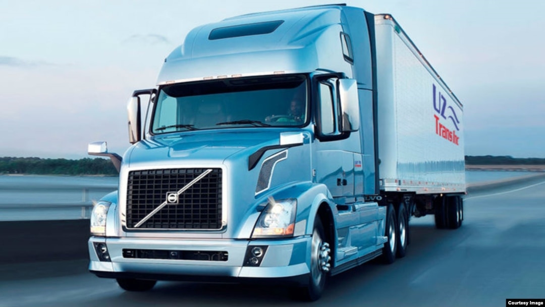 mushuk yalagan hikoyaga aylandi