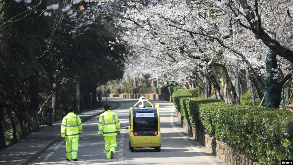 保安人员跟随一辆5G自动汽车在关闭的武汉大学内拍摄盛开的樱花。（2020年3月17日）(photo:VOA)