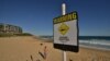 Serangan Hiu Tewaskan Peselancar di Gold Coast, Australia