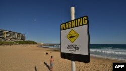 Tanda peringatan hiu di pantai sebelah utara Kota Newcastle di New South Wales, 17 Januari 2015.