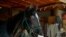 A faux horse wears a mask at the storefront entrance of Christesen's Western Wear clothing shop on July 14, 2020, in Pleasanton, Calif.
