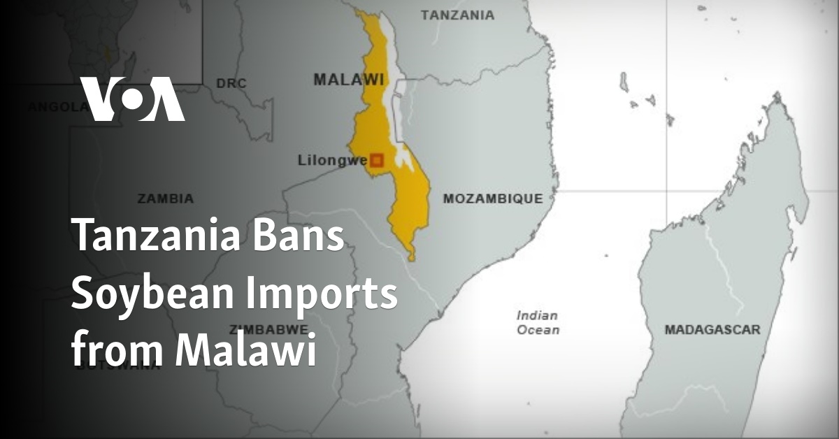 Tanzania Bans Soybean Imports from Malawi