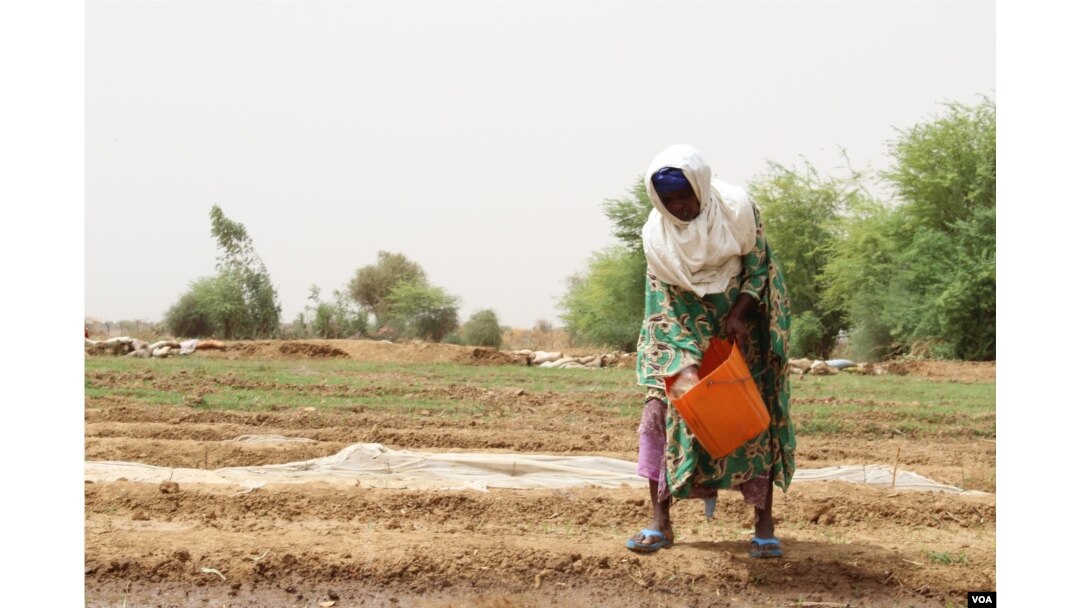 A woman waters her crops in the village of Woudourou, in the Matam region of Senegal, May 17, 2017. (S. Christensen/VOA)