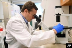 In this Aug. 5, 2019 photo, Dr. Gregory Friedman, a childhood cancer specialist, looks through a microscope at a laboratory in Birmingham, Alabama. (AP photo via University of Alabama)