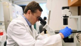 In this Aug. 5, 2019 photo, Dr. Gregory Friedman, a childhood cancer specialist, looks through a microscope at a laboratory in Birmingham, Alabama. (AP photo via University of Alabama)