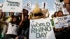 WWF advierte disminución de animales salvajes en el planeta 