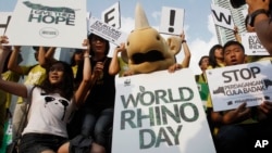 Activistas indonesios durante el Día Mundial de Rinoceronte en Jakarta, Indonesia. ¿Se acerca una gran extinción? En 2020, el 67% de los animales se habrán extinguido. La naturaleza enfrenta una "extinción masiva" global por primera vez desde la desaparición de los dinosaurios, advirtieron los expertos.