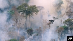 The forest burns near Prey Long, Cambodia in this undated handout photo. 