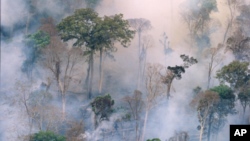 The forest burns near Prey Long, Cambodia in this undated handout photo.