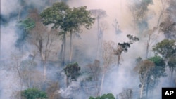 The forest burns near Prey Long, Cambodia, in this undated photo. 