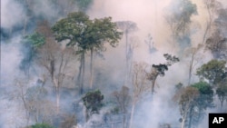 FILE PHOTO - The forest burns near Prey Long, Cambodia in this undated handout photo. (AP Photo)