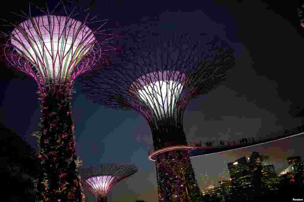 싱가포르에 있는 &#39;가든스 바이 더 베이(Gardens by the Bay)&#39;를 둘러보는 관람객들. 초현실적 느낌의 수직 정원인 슈퍼트리와 초대형 온실이 갖춰진 100만㎡ 규모 인공 정원이다.&nbsp; &nbsp;